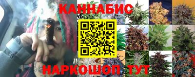 спиды Тверь